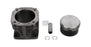 DT PISTON W/ LINER AIR COOLED 4.90231/4421300008-SAJID Auto Online