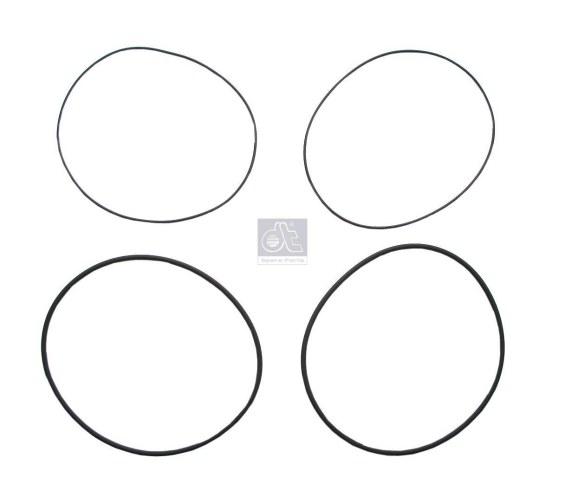 DT SEAL RING KIT 4.90734/4.90371-SAJID Auto Online